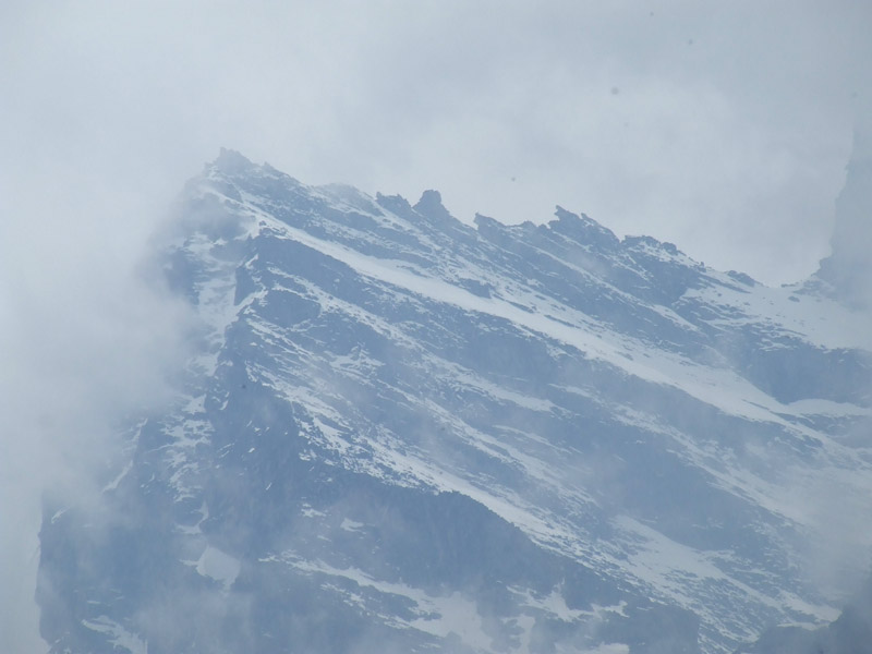 un metro quadrato di  paradiso - parco del gran paradiso